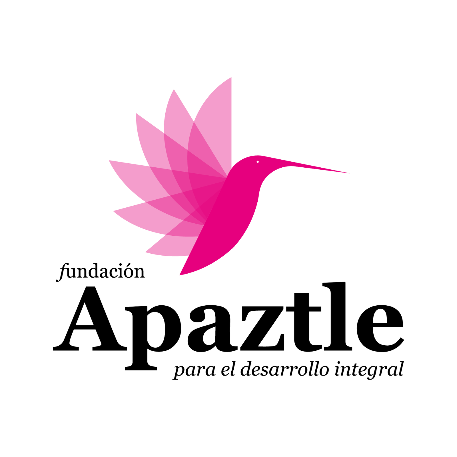 apaztle.org